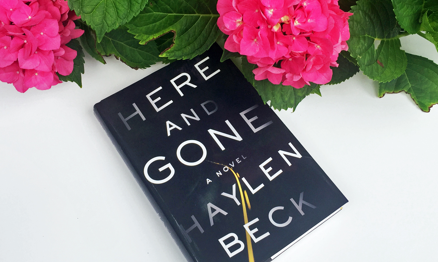 Here and Gone by Haylen Beck a creepy thriller that will scare moms everywhere!