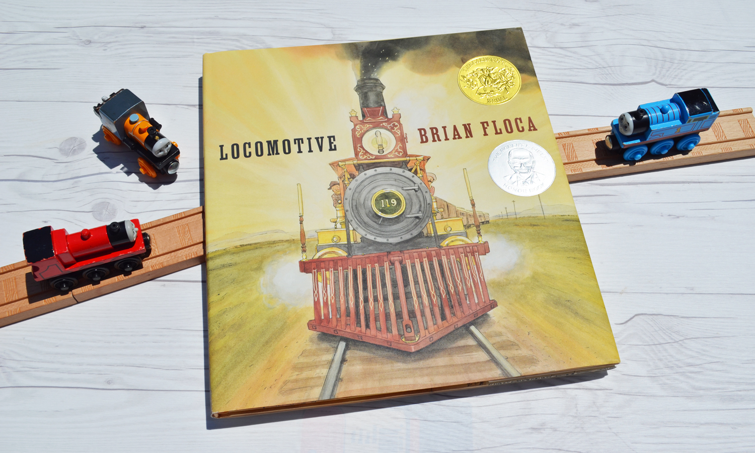Locomotive - The perfect book for your train lover!