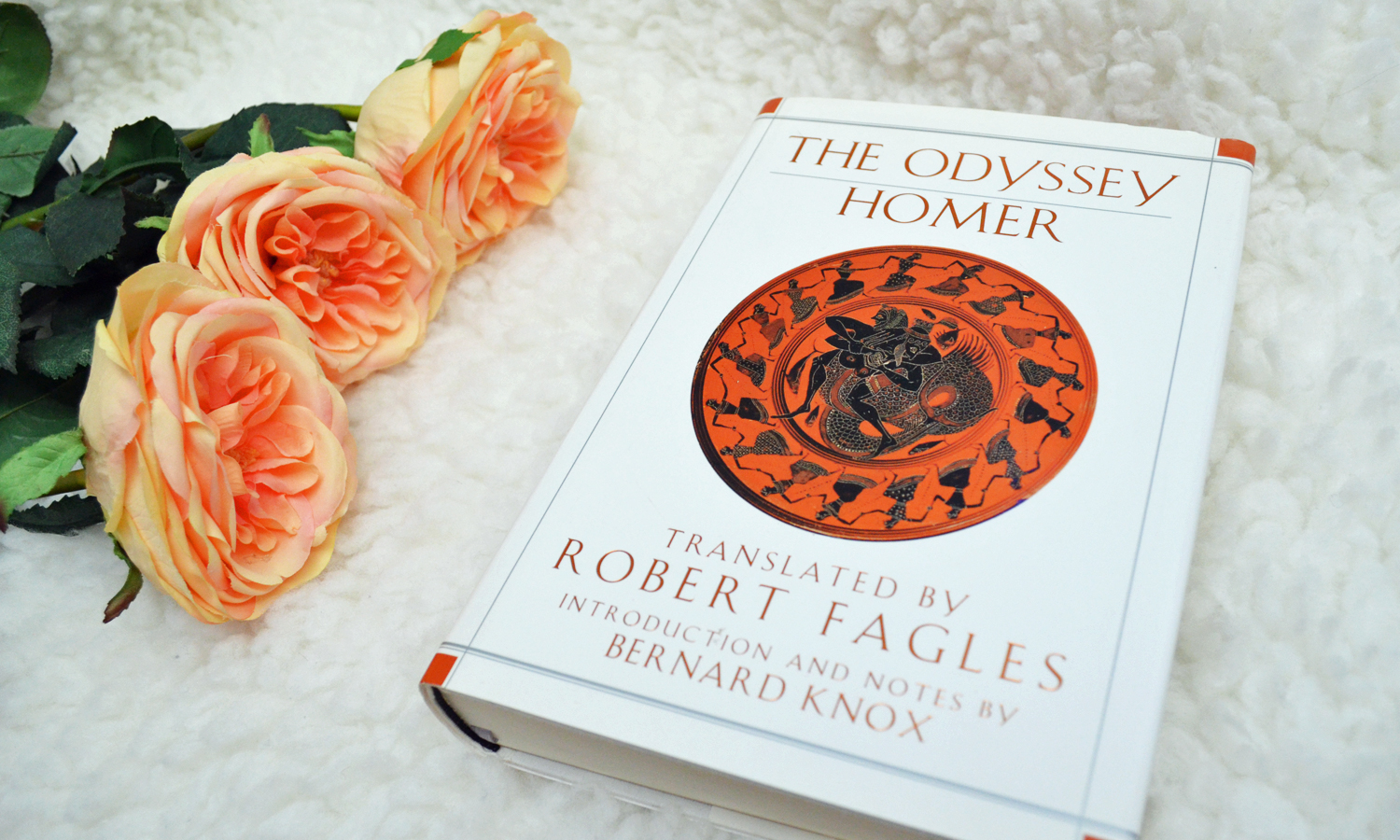 The Odyssey by Homer and 7 other amazing High School reads!