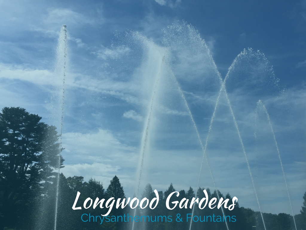 Longwood Gardens trip with moms and kids. Fountains, chrysanthemums, lily pads and more.