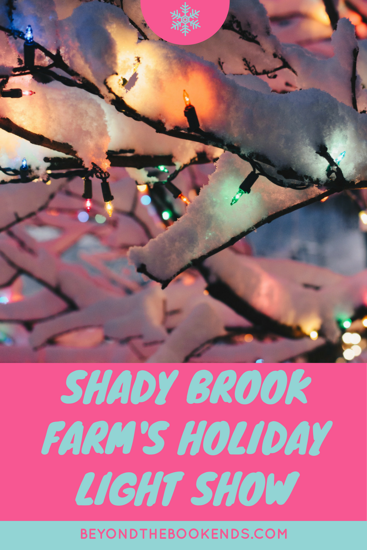 Want to get in the holiday spirit? Start a new Christmas tradition with a trip to the holiday light show at Shady Brook Farm. The drive-through light extravaganza is truly a must-see event! Full details on what to expect, how to prepare and costs, as well as a full review in this post!