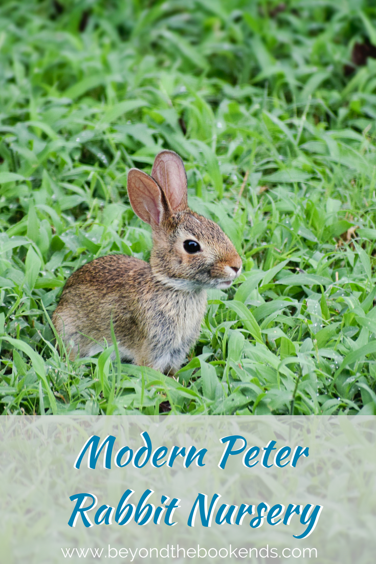 Adorable and Modern Peter Rabbit Nursery for Your Baby 3 A modern nursery for the peter rabbit fan in your life! Bring the classic heartwarming story to life in your nursery in a modern way.