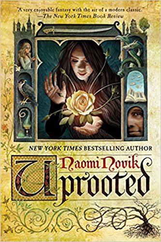 Uprooted and other Books like Shadow and Bone