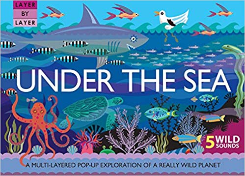 Under the Sea and other ocean books for kids
