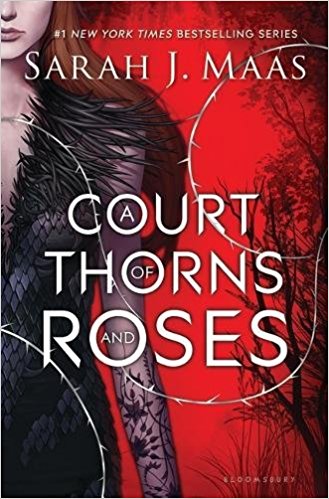 A Court of Thorns and Roses by Sarah J Mass and the best YA romance books to indulge in now