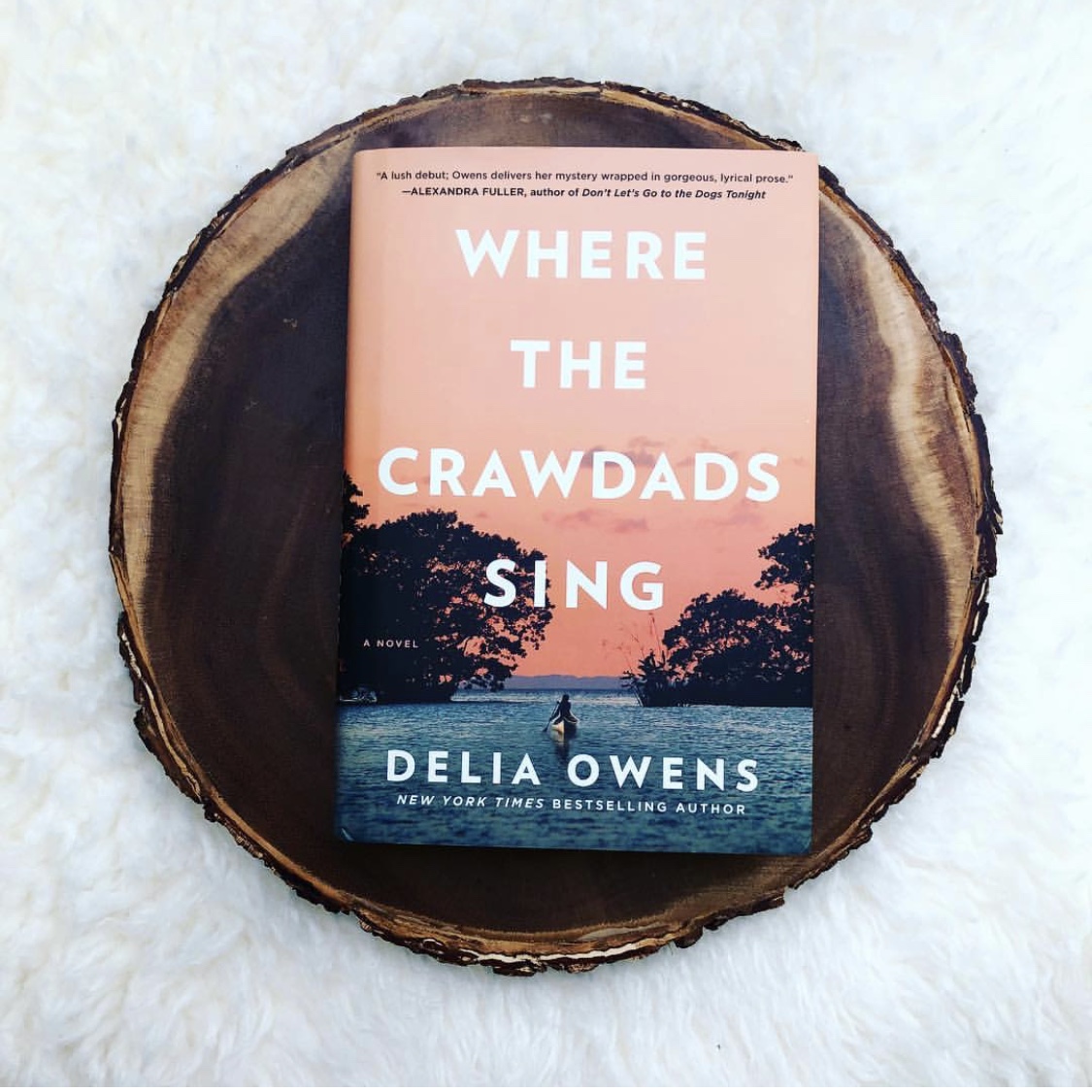 How to host a book club for where the crawdads sing