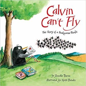 Calvin cant fly