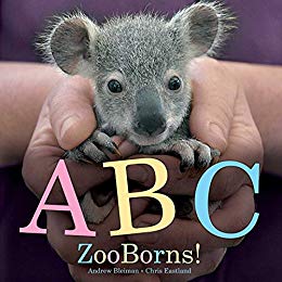 ABC Zooborns