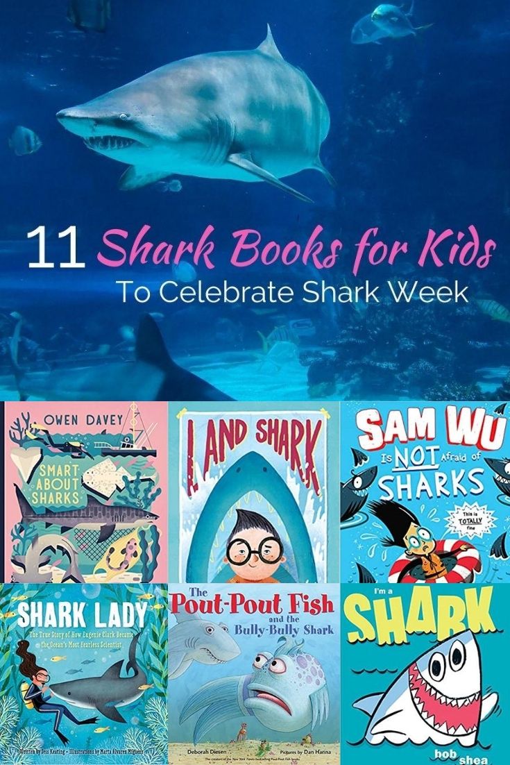 Does your child love sharks? Then you need these books for your home library.