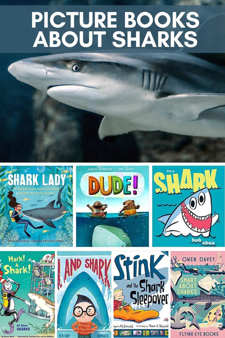 11 Great Kids' Books about Sharks 17 A dozen picture books and toys for your little shark lover. These shark books are fin-tastic.