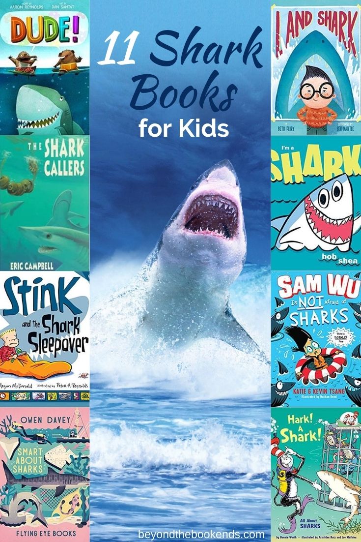 Fin-tastic shark books for children! Hark! A Shark! Land Shark, Dude! and more.