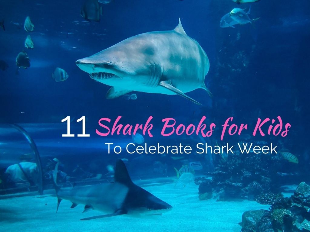 Kids books about sharks
