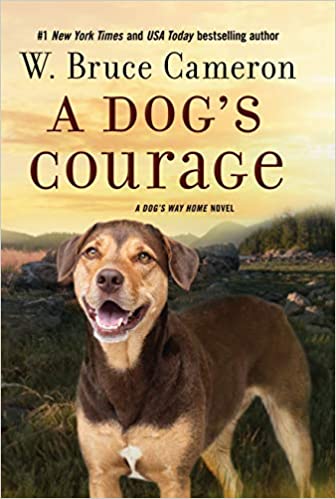A dogs Courage