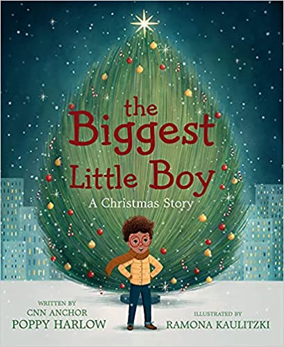 THe Biggest Little Boy a Christmas story