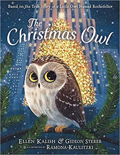 The Christmas Owl and more of the best Christmas books for kids.