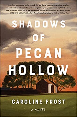 Shadows of Pecan Hollow and more February 2022 Book Releases
