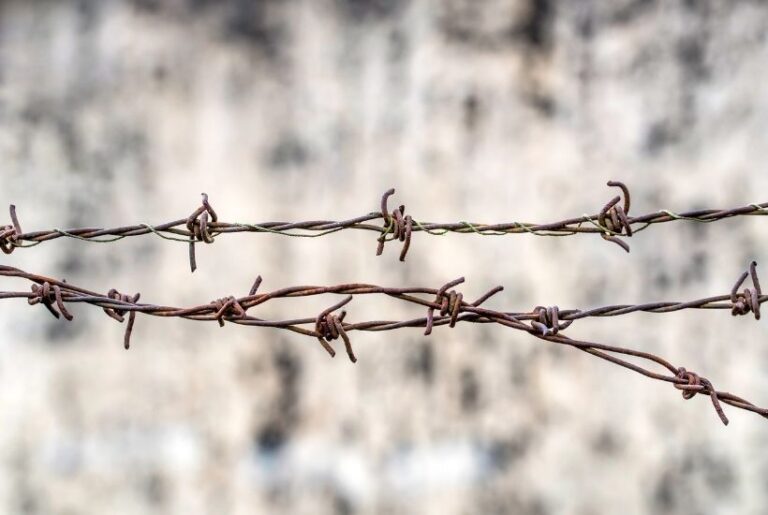 17 Devastating Must-Read Books About the Holocaust