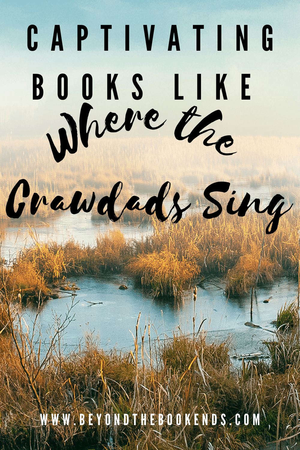 13 Captivating Books Like Where the Crawdads Sing to Read Now 17 crawdads pin