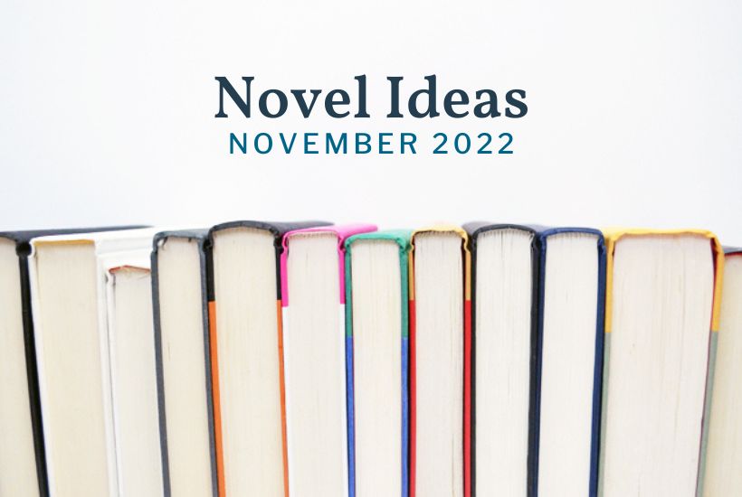 November 2022 Novel Ideas