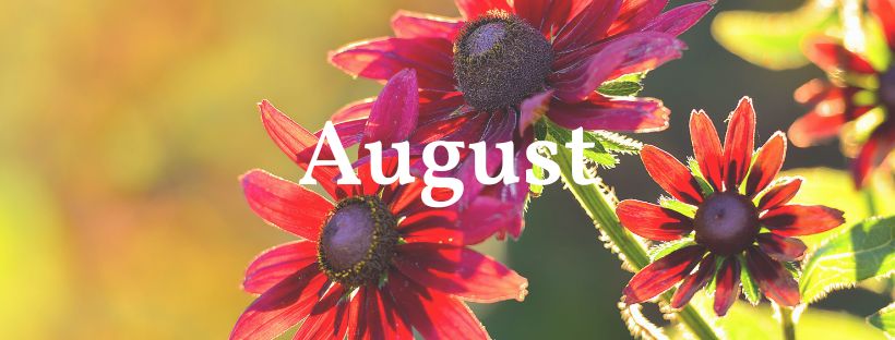 August Small Header