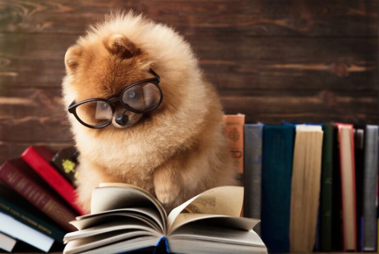 27 Incredible Animal Novels and Nonfiction Animal Books