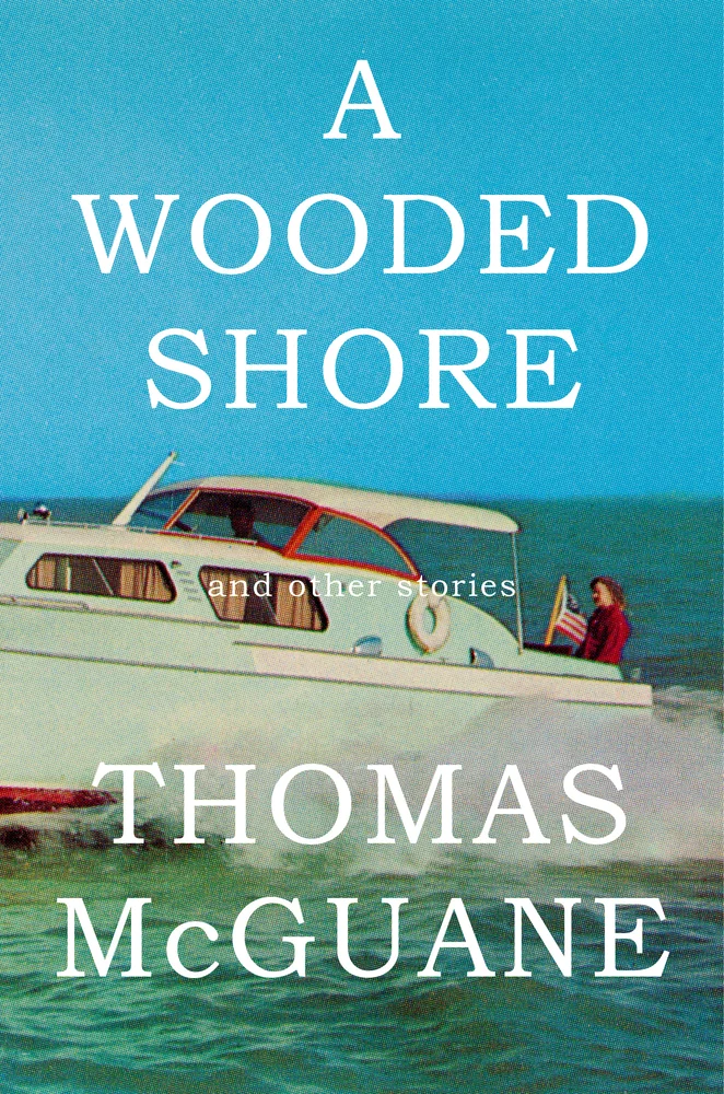October 2025 Book Releases 5 a wooded shore
