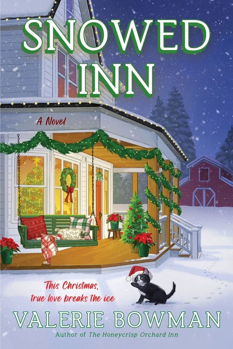 September 2026 Book Releases 35 Snowed inn